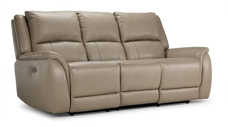 Leons deals leather couch