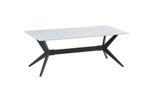 Kalani 47" Coffee Table - White Sintered Stone & Black Metal