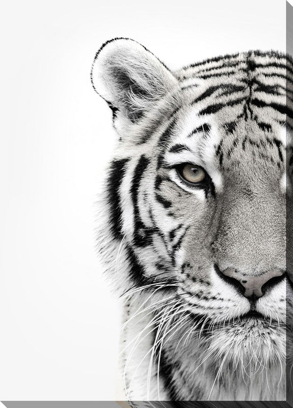 Colourless Tiger Canvas Wall Art - 38 X 60