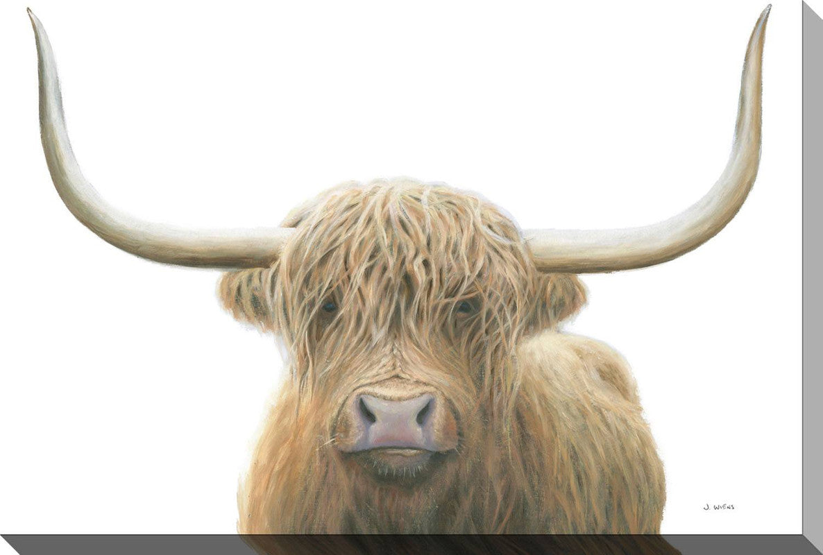 Perfect Highland Head Shot I Canvas Wall Art - 38 X 60