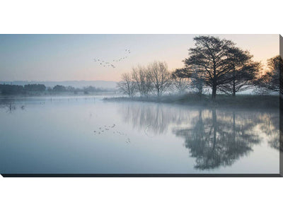 Lost In The Lake Canvas Wall Art - 20 X 40