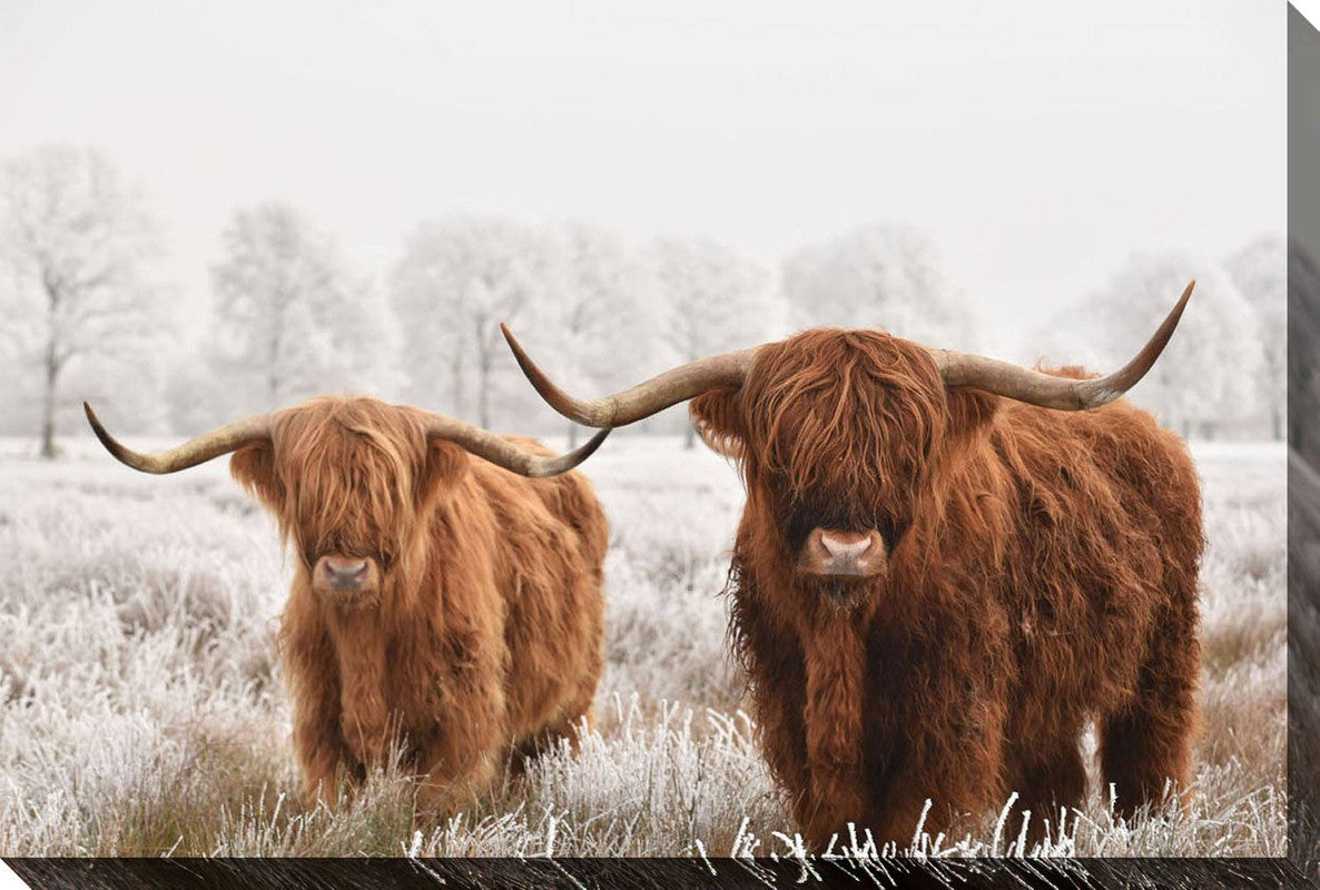 Highlander Duo Canvas Wall Art - 30 x 45