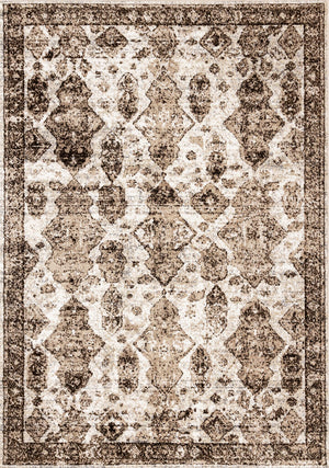 Antique Charm 6'7" x 9'6" Distressed Classic Area Rug - Brown, Grey, White