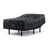 Beautyrest World Class Empress Luxury Firm Queen Mattress and L2 Motion Pro Adjustable Base