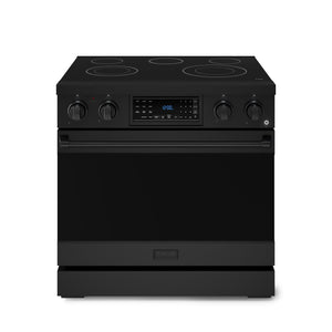 Thor Kitchen Black Stainless Steel Freestanding Professional Electric Range|Gordon Ramsay Series (6 cu.ft) - RSE36B