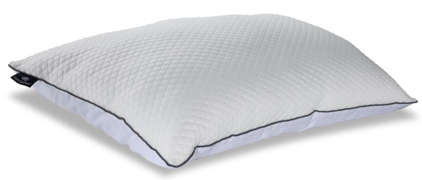 Beautyrest absolute rest clearance pillow